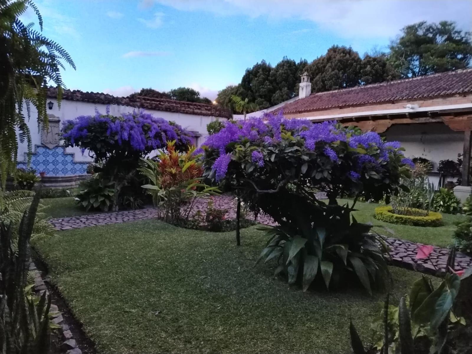 Hostal San Nicolas Антигуа-Гватемала Экстерьер фото