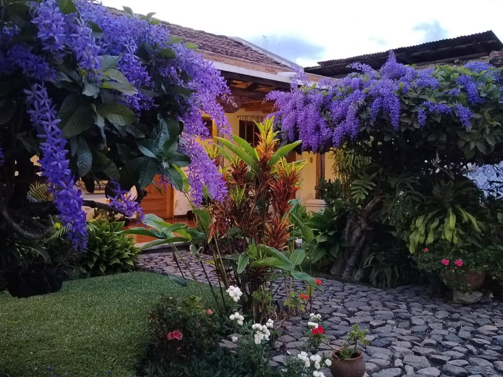 Hostal San Nicolas Антигуа-Гватемала Экстерьер фото