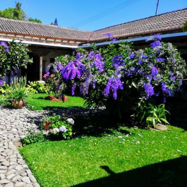 Hostal San Nicolas Антигуа-Гватемала Экстерьер фото