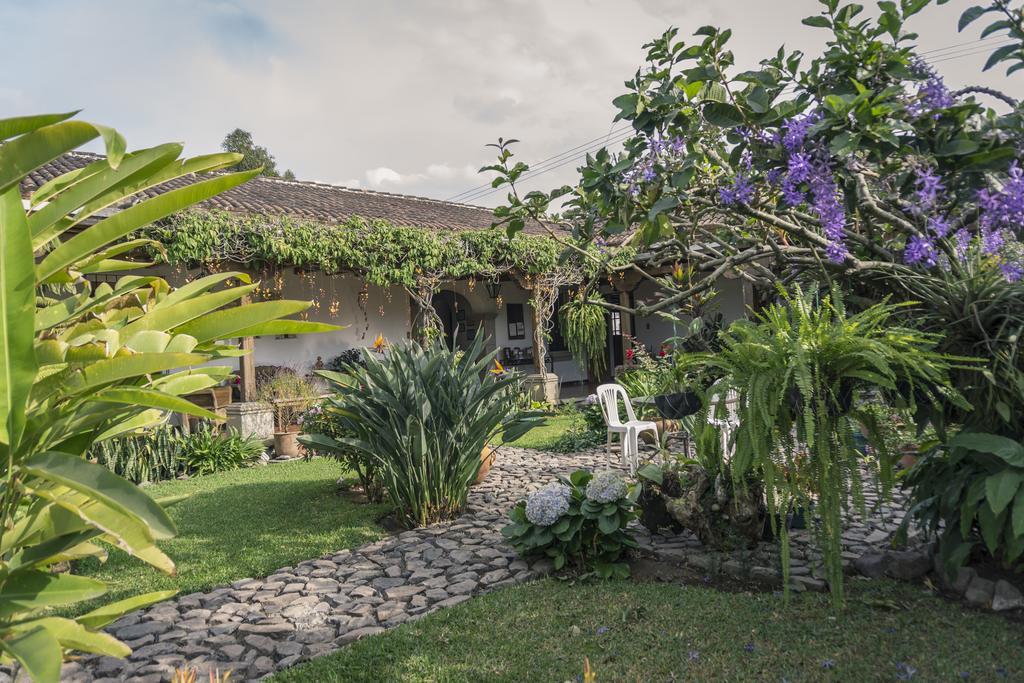 Hostal San Nicolas Антигуа-Гватемала Экстерьер фото